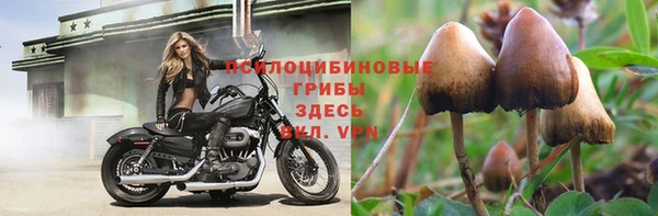 шишки Баксан