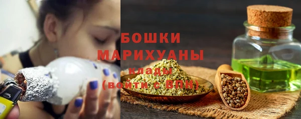 трава Арсеньев