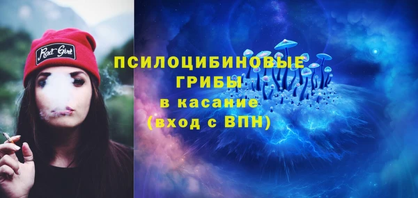 шишки Баксан